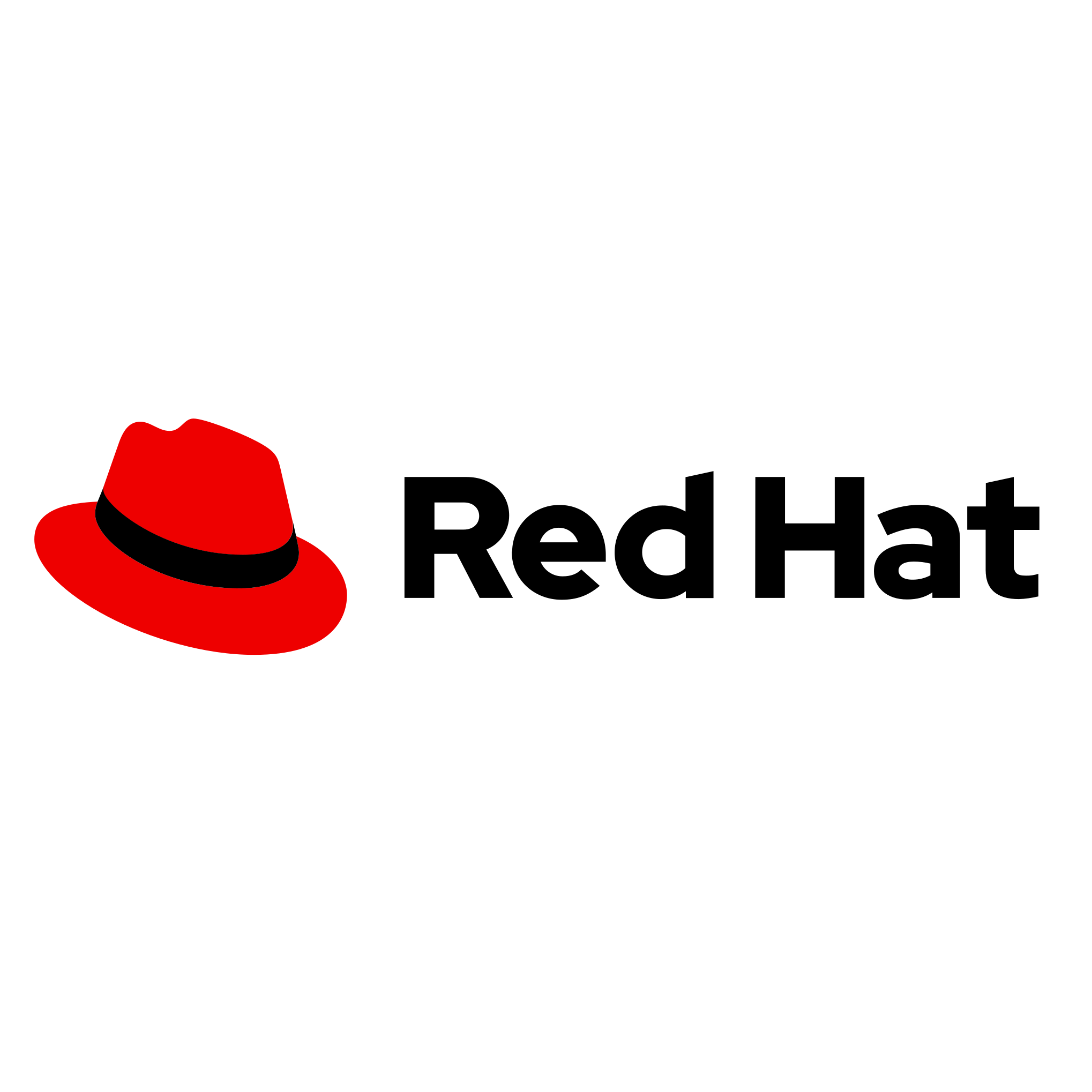 red-hat logo